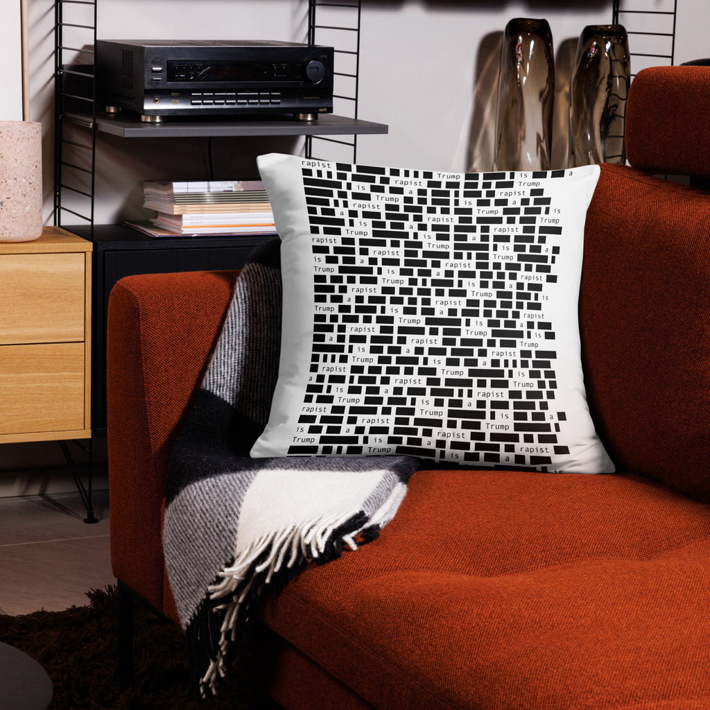 Redacted 22-inch throw pillow, back view