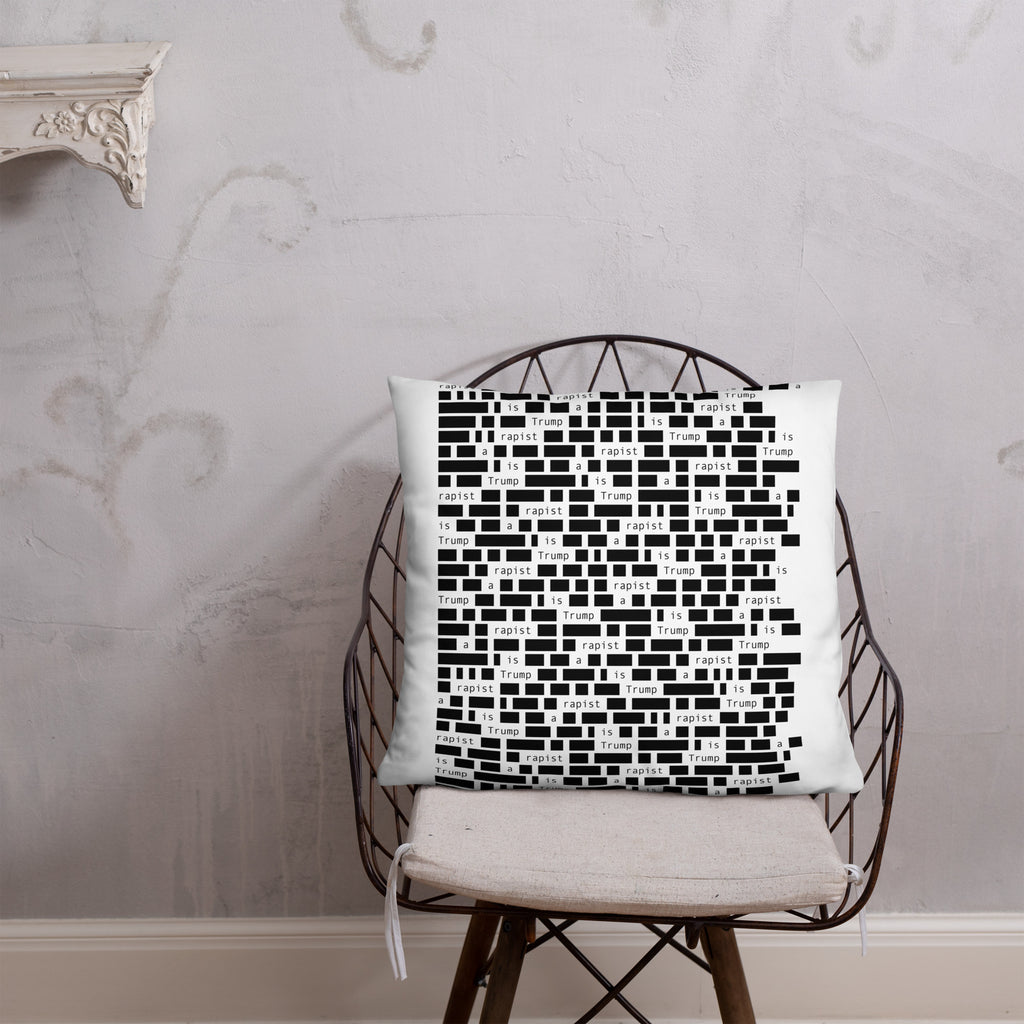 Redacted 22-inch throw pillow, lifestyle view