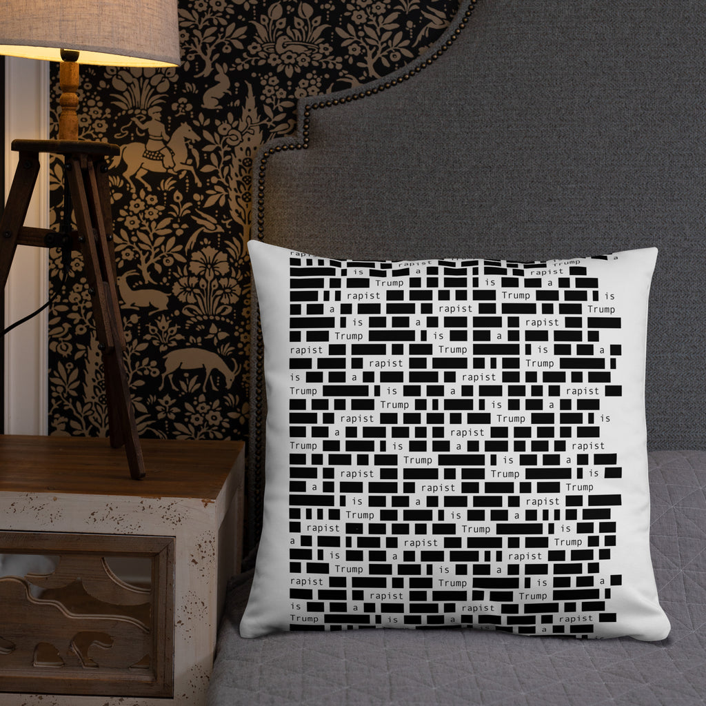 Redacted 22-inch throw pillow, lifestyle view